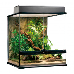 Hagen Exo Terra Natural Terrarium (Хаген Екзо Терра) - тераріум скляний (60*45*60 см)