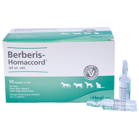 Берберис-Гомакорд (Heel Berberis Homaccord) - комплексний гомеопатичний препарат