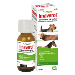 Имаверол (Elanco Imaverol) - противогрибковое средство для собак и кошек