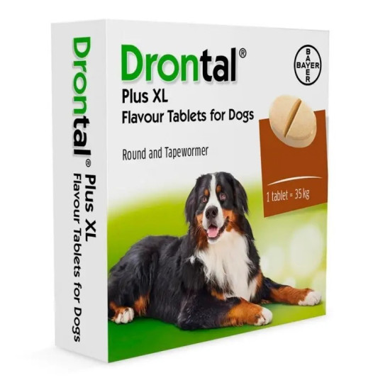 Drontal (Дронтал) - таблетки для собак от глистов