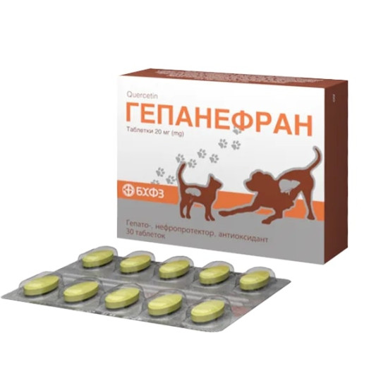 Гепанефран - гепатопротектор для собак и кошек