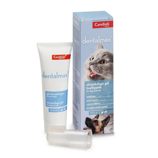 Candioli DentalMax (Дентал Макс)  - гель для гігієни ротової порожнини та зубна щітка