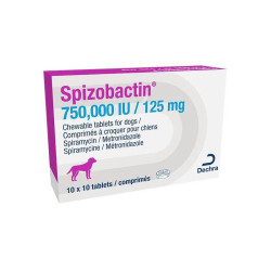 Dechra Spizobactin (Спізобактін) - препарат для лікування інфекцій порожнини рота у собак