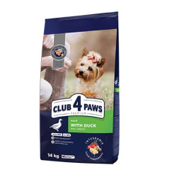 Клуб 4 Лапы - взрослые собаки мелких пород, с уткой