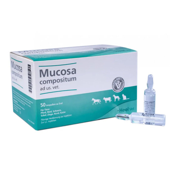 Мукоза Композитум (Heel Mucosa Compositum) - комплексний гомеопатичний препарат