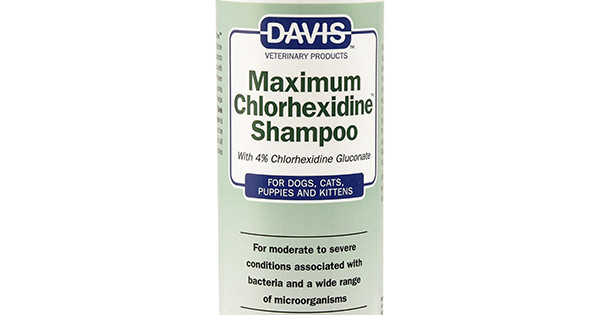 Davis Maximum Chlorhexidine Shampoo