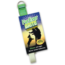 Davis FurEver Brite Safety Collar - нашийник, що світиться