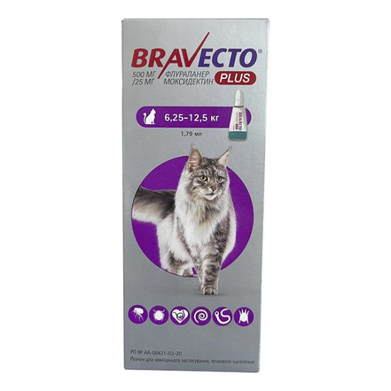 Bravecto Plus (Бравекто Плюс) - комплексные капли от блох и гельминтов для кошек