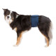 Trixie Nappies for Male Dogs - пояс для кобелей