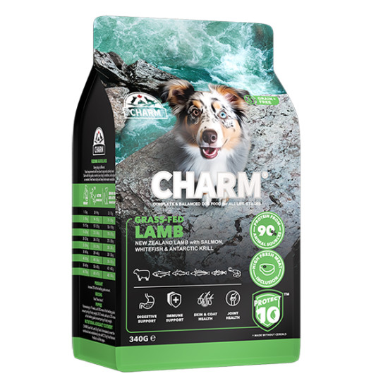 Charm Grass-Fed Lamb (Чарм) - собаки усіх вікових груп та порід, з ягням