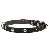 Collar - ошейник для собак кожаный, одинарный с украшениями чёрный