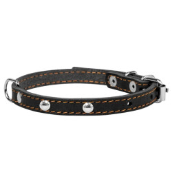 Collar - ошейник для собак кожаный, одинарный с украшениями чёрный
