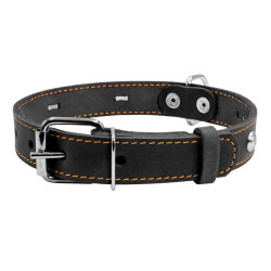 Collar - ошейник для собак кожаный, одинарный с украшениями чёрный