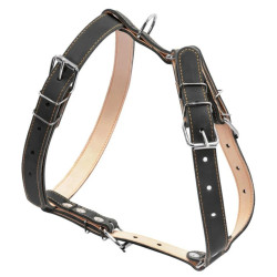Collar - шлея для собак средних пород кожаная двойная чёрная
