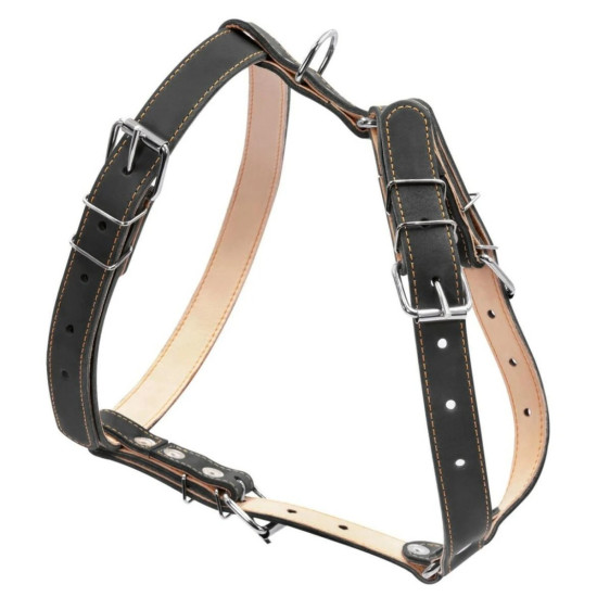 Collar - шлея для собак середніх порід шкіряна подвійна чорна для собак середніх порід