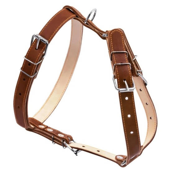 Collar - шлея для собак середніх порід шкіряна подвійна коричнева
