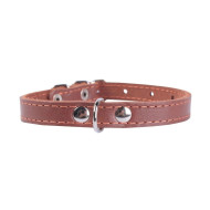 Collar - ошейник для собак кожаный, одинарный коричневый