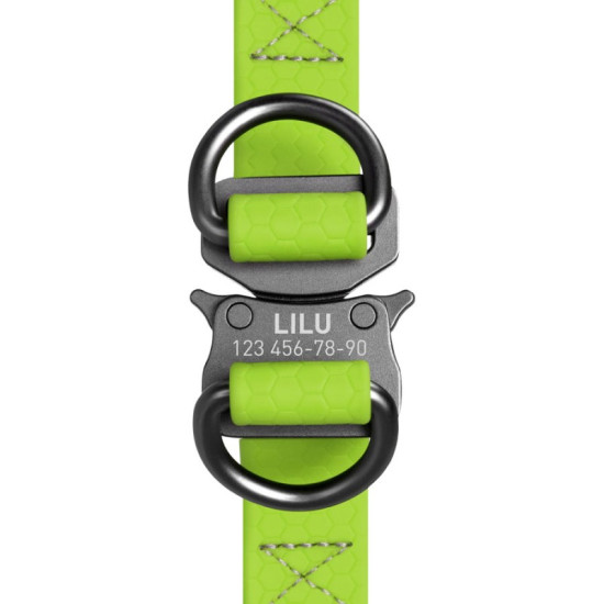 Collar Waudog Waterproof - шлея для собак водостойкая, с QR-паспортом, металлическая пряжка-фастекс, зелёная