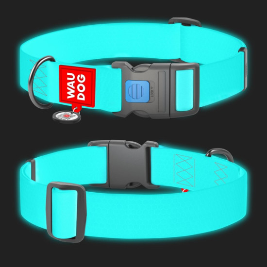 Collar Waudog Waterproof - нашийник для собак водостійкий з QR паспортом, світиться у темряві, пластиковий фастекс, бірюзовий