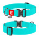 Collar Waudog Waterproof - нашийник для собак водостійкий з QR паспортом, світиться у темряві, металічна пряжка-фастекс, бірюзовий