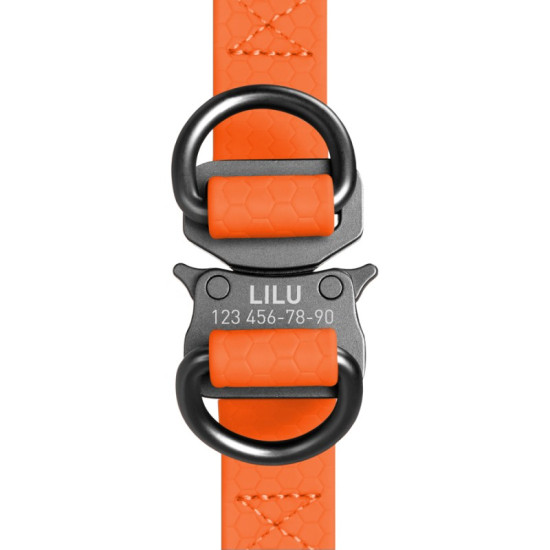 Collar Waudog Waterproof - шлея для собак водостойкая, с QR-паспортом, металлическая пряжка-фастекс, оранжевая
