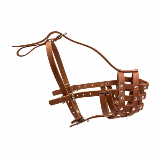 Collar - намордник для собак шкіряний твердий, для мастіно, бульмастифів, ротвейлерів, обхват морди 38 см, довжина 11 см