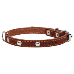 Collar - ошейник для собак кожаный, одинарный с украшениями коричневый