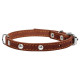 Collar - ошейник для собак кожаный, одинарный с украшениями коричневый