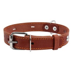 Collar - ошейник для собак кожаный, одинарный с украшениями коричневый