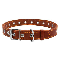 Collar - ошейник для собак кожаный, безразмерный коричневый