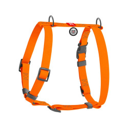 Collar Waudog Waterproof - шлея для собак анатомическая Н-подобная водостойкая, с QR-паспортом, пластиковая пряжка-фастекс, оранжевая