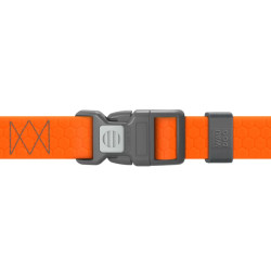 Collar Waudog Waterproof - шлея для собак анатомическая Н-подобная водостойкая, с QR-паспортом, пластиковая пряжка-фастекс, оранжевая