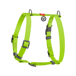 Collar Waudog Waterproof - шлея для собак анатомическая Н-подобная водостойкая, с QR-паспортом, пластиковая пряжка-фастекс, салатовая