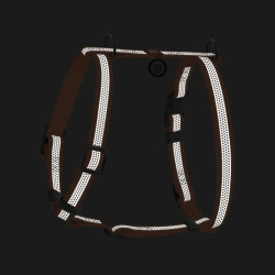 Collar Waudog Waterproof - шлея для собак анатомическая Н-подобная водостойкая светоотражающая, с QR-паспортом, пластиковая пряжка-фастекс, оранжевая