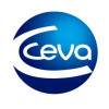 Ceva