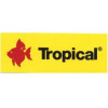 Tropical