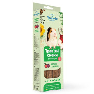 Природа Трав'яні снеки - ласощі для гризунів, палички з яблуком та буряком