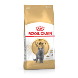 Royal Canin British Shorthair Adult (Роял Канин Британец) - взрослые кошки породы британская короткошёрстная