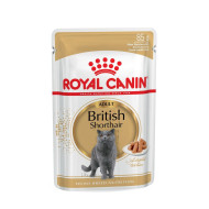 Royal Canin British Shorthair Adult (Роял Канин) - консервированный корм для взрослых кошек породы британская короткошерстная