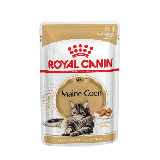 Royal Canin Maine Coon Adult - консервований корм для дорослих кішок породи мейн-кун