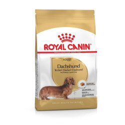 Royal Canin Dachshund Adult - дорослі собаки породи такса