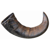 Trixie Buffalo Chewing Horn - лакомство для собак, рог буйвола