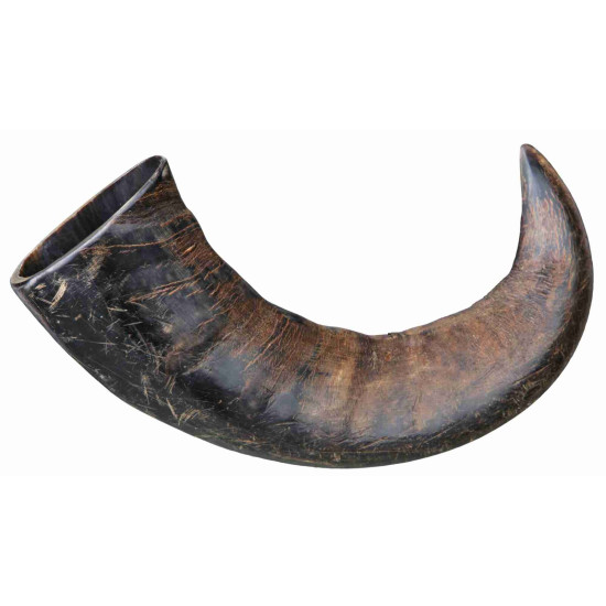 Trixie Buffalo Chewing Horn - лакомство для собак, рог буйвола
