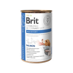 Brit Veterinary Diet Recovery (Брит Рекавери) - диета для кошек и собак в период восстановления