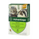 Bayer Advantage (Адвантейдж) - капли от блох для кошек и кроликов